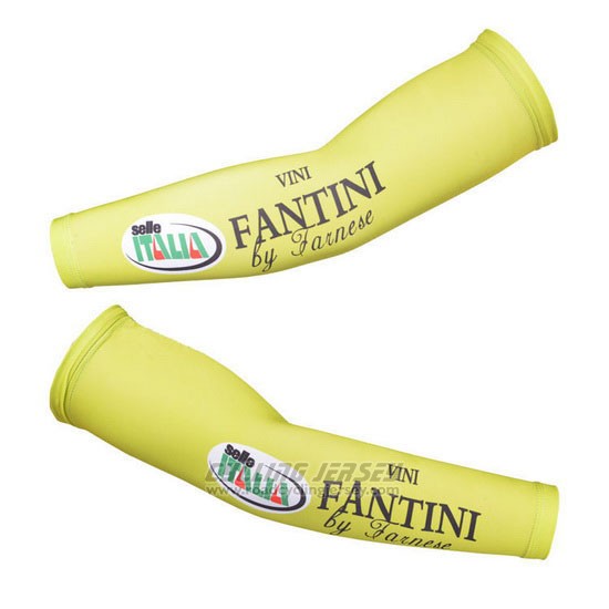 2013 Vini Fantini Arm Warmer Cycling